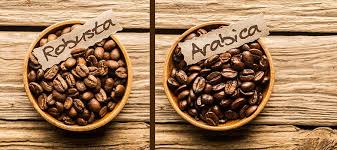 Arabica Vs Robusta Coffee: What is the Difference? - Craft Coffee Guru
