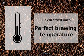 What is perfect temperature to brew coffee? | Owly Choice - Enjoy your ☕